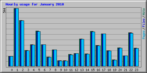Hourly usage for January 2010
